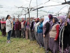 Kırsaldaki Ekonomiye Kurs Desteği