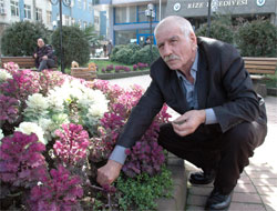 70'lik Suçlu Fidan Dikerek Cezasını Çekiyor