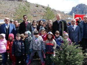 Cebeli Köyüne 10 Bin Fidanlık Yeni Orman