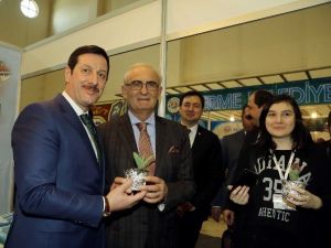 İlkadım’dan Lale Fidesi
