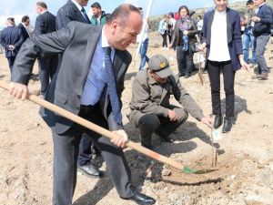 Yüksek Okul Öğrencileri Fidan Dikti