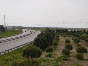 En Fazla Kazandıran Yatırım Aracı Toprak