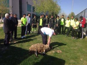 Denizlispor 3 Puan İçin Kayseri’ye Gitti