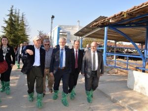 Başarısız Meslek Yüksekokulları Kapatılacak