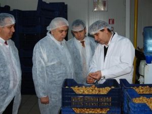 Kardelen’de Hijyenik Üretim