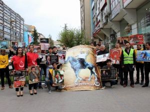 Alperenlerden Muhsin Yazıcıoğlu Fotoğraf Sergisi