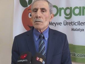 Kayısıda Don Zararı Netleşmedi