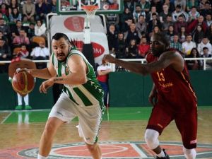 Spor Toto Basketbol Ligi