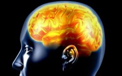 Hafızanız neden bu kadar zayıf?