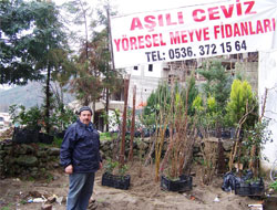 Rize'de Ağaç Hırsızlığı !