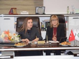 Ak Parti Genel Başkan Yardımcısı Hotar: "720 Bin Taşeron İşçi Kadroya Geçecek"