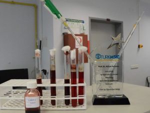 Yerli Malı İlk Yapay Kan Haziran’da Test Edilecek