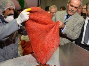 Besaş’tan Tarladan Sofraya Kırmızı Biber