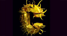 Hepatit C tedavisinde yeni umut