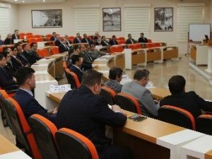Ordu’da Ceviz Ormanları Kuruluyor