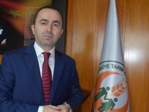 "Dondan Zarar Gören Fındıkta Henüz Hasar Tespiti Yapılmadı"