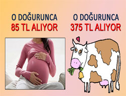 Ödenek ayrımı şok etkisi meydana getirdi
