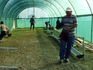Antalya’da Köylülerin Arazi Zaferi