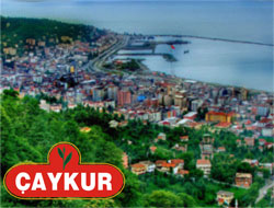 Çaykur Ve Rize’yi Kim Yönetmeli?