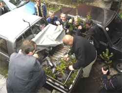 Ücretsiz fidanlara yoğun ilgi