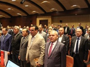 İhracatçılardan Zeytinyağı Fiyatı Çıkışı