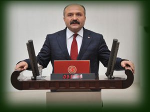 Şimdi de MHP Çayın Sorunlarını Meclise Taşıdı