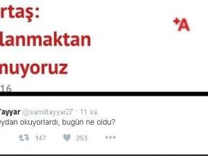 Dokunulmazlık Tartışması