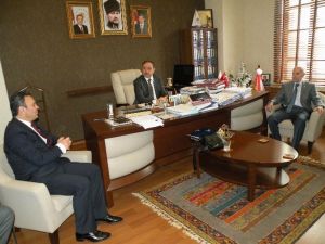 Mmo’dan Ziyaretler