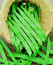 Fasülye kalbe iyi geliyor