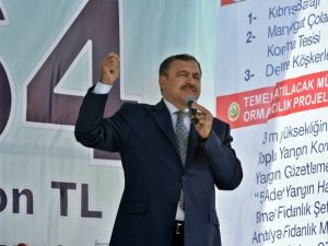 Bakan Eroğlu’dan, Akdenizli Çiftçilere Müjdeli Haber