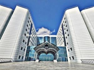 Kalp Ve Damar Hastalıkları, Tüm Dünyada Ölüm Nedenleri Arasında İlk Sırada Geliyor