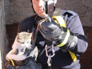 Asansör Boşluğunda Mahsur Kalan Kediyi İtfaiye Kurtardı