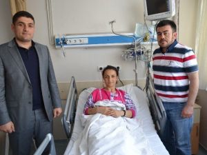 Genç Kadının Mutluluğu