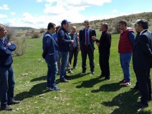 Gümüşhane Meraları Islah Ediliyor