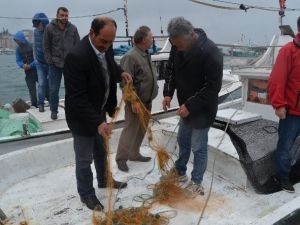 Deniz Salyongozu Avlayan Balıkçılar İsyanda