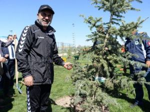 Torku Konyaspor’da Yönetim, Teknik Heyet Ve Futbolcular Fidan Dikti