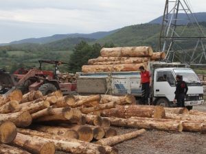 Tomrukların Altında Kalan Sürücü Yaralandı