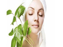 Cildinize yeşil çaylı bakım yapın