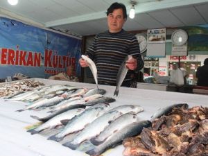 Av Yasakları Balık Fiyatlarına Olumsuz Yansıdı