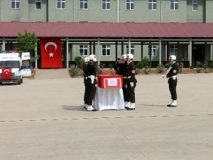 Nusaybin Şehidi Memleketine Uğurlandı