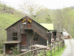 Doğa aşığı, 12 yıldır modern hayattan uzak yaşıyor