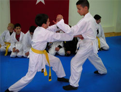 Karate Şampiyonası Rize'de Yapılacak