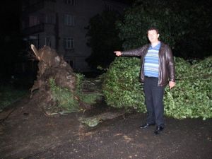 Zonguldak’ta Fırtınada Çatılar Uçtu, Ağaçlar Devrildi