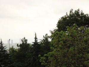 Polen Alerjisine Dikkat