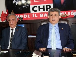 Chp’li Özcan’dan Anayasa Değerlendirmesi