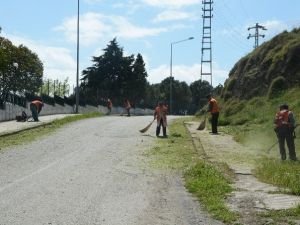 Sinop’ta Yaza Hazırlık