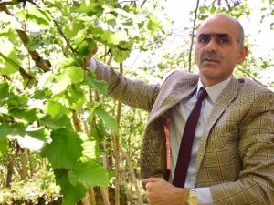 Alan Bazlı Gelir Desteği Haziran’da Ödenmeye Başlanacak