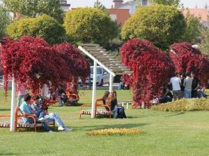 “Sael” Atılım Üniversitesi’nin Tescilli Markası Oldu