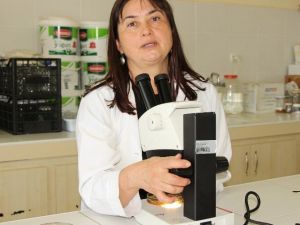 Astıma Neden Olan Toz Akarlarına Dikkat