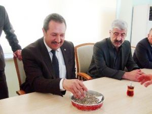 Şanlıurfa’da Yılın İlk Arpa Mahsulü Görücüye Çıktı